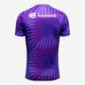 Keepersshirt Paars 26/27